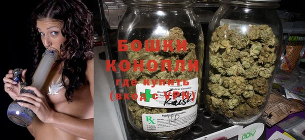 ГАЛЛЮЦИНОГЕННЫЕ ГРИБЫ Белоозёрский