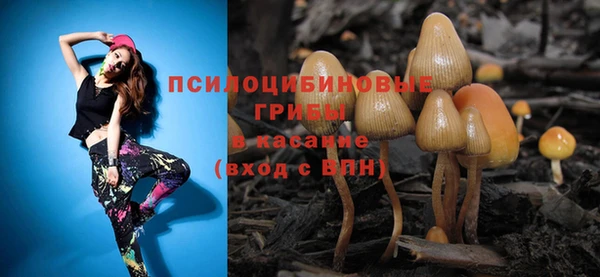 скорость Белокуриха