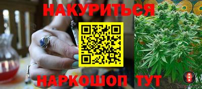 мет Кингисепп