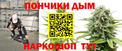 мет Кингисепп