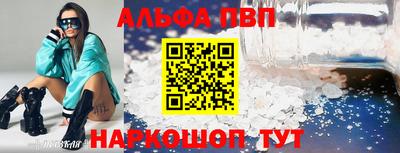 мет Кингисепп