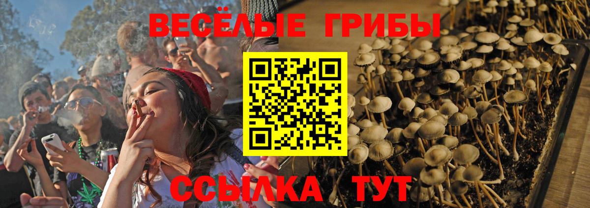 Кстово  Псилоцибиновые грибы Psilocybe  где продают   Вход с VPN 